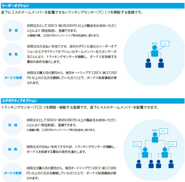 徹底解説 シナジーとは プロアルギナインプラスでデトックス 勧誘しない インターネット集客mlm ネットワークビジネス